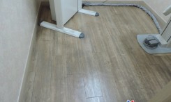 세척 및 왁스