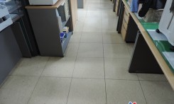 세척 및 광택